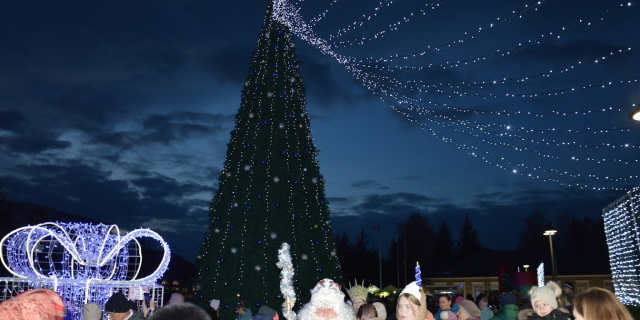 Фото: grig-admin.idknet.com