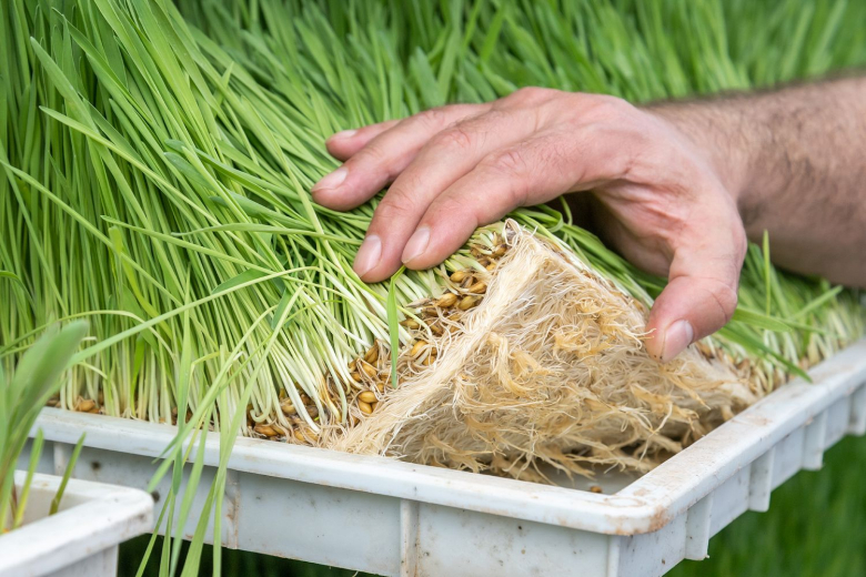 Фото: Пресс-служба Президента ПМР