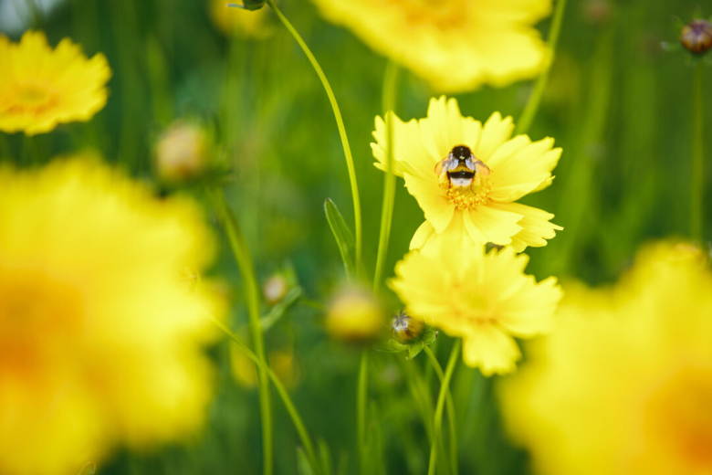 Фото: Минобороны ПМР