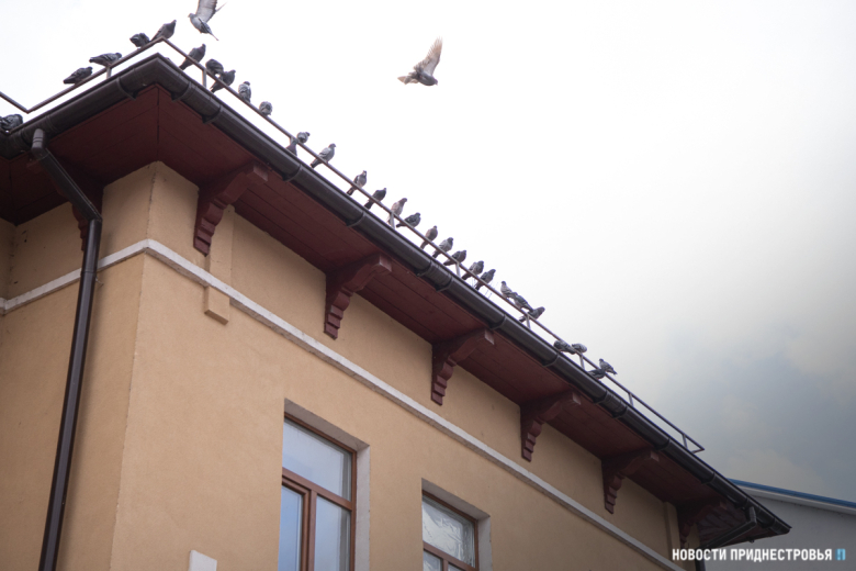 Художественная школа-библиотека.