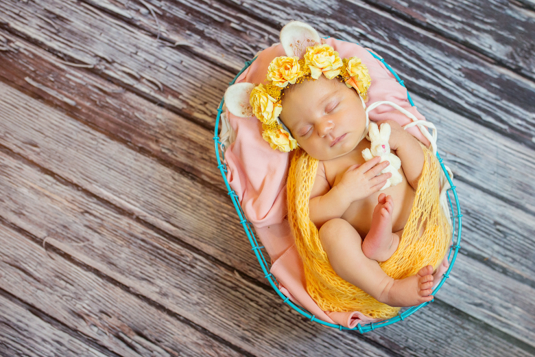 Фото: Светлана Булавкина 