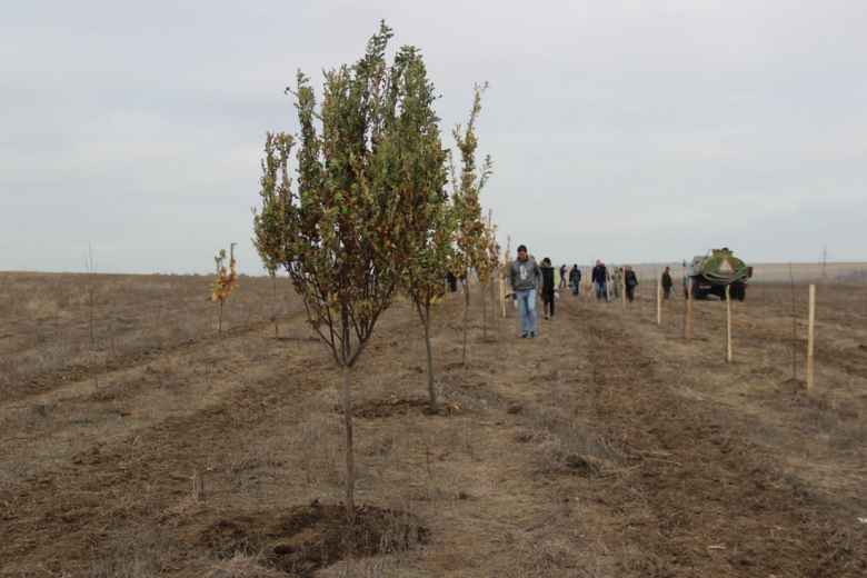 Фото: t.me/bendery_tv