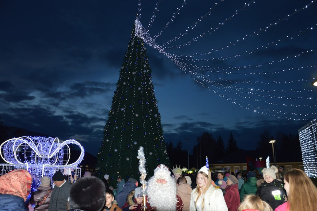 Фото: grig-admin.idknet.com