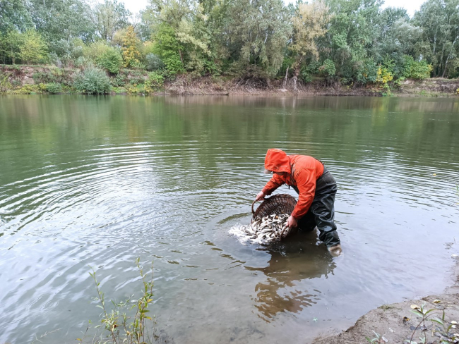 Фото: t.me/mshipr